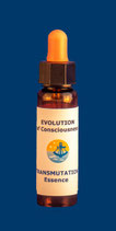 Essence - The Transmutation Process