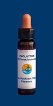 Essence All Possibilities