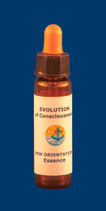 Essence New Orientation