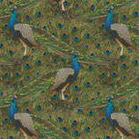 Pfau Elegant