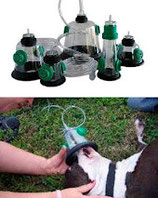 Sauerstoffmaske für Hunde, Katzen und Kleintiere