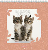 Cats Kalender 2023