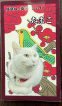 廣島ねこ奉行オリジナル花札　たまこ　マグネット付き
