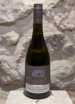 2023er Weinolsheimer Spätburgunder Blanc de Noir, trocken