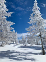 24. - 27. Feber 2022: Schneeschuhwandern & Yoga in Bad Aussee
