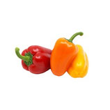 Bio-Paprika Sorte Mini Bell Trio
