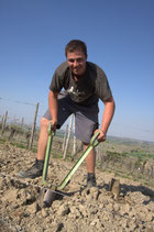 Workshop Boden & Klima als Grundlage unserer Weine