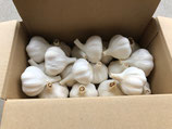 令和7年　新物　乾燥にんにく1ｋｇ