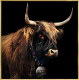 Wandbild Frame "Stier mit goldenem Dekor"