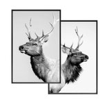 Wandbild Frame 2-fach sort. "Hirsch"