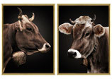 Wandbild Frame 2-fach sort. "Kuh-Portaits"
