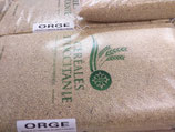 ORGE GRAINS