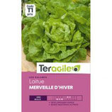 SACHET LAITUE MERVEILLE D HIVER