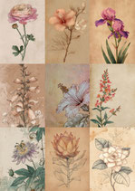 Journalkärtchen Vintage Blumen Nr. 1