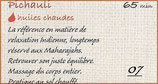 07 "Âyurvédique Indien"  Pichauli