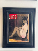Quadro Life Audrey Hepburn  | Raul Papavero