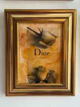 Quadro Dior Rose | Raul Papavero