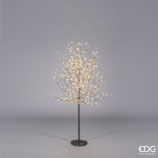 Faggio C/580 Led Nero | EDG