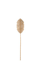 Foglia Decorativa Bambù