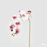EDG Ramo Orchidea