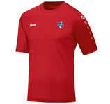 ASM4233-01 Maillot Team MC Adulte