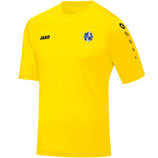 ASM4233-03 Maillot Team MC Junior