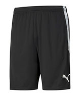 teamLIGA Training Shorts