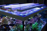 Bis 250 cm Aqualeds Aquabar LED Lampe Meerwasser LED