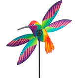 Hummingbird