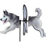 Husky