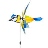 Blaumeise