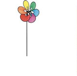 Paradise Flower Rainbow