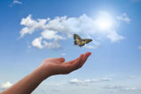 Aufbauseminar, TERMIN: 01.05. - 03.05.2025