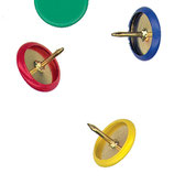 Punaises de couleur vert