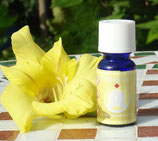 Transformation, 3. Solarplexus Chakra