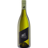 Pfaffl Sauvignon Blanc Vom Haus 2025