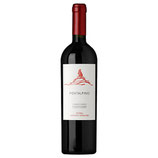 Carpineta Fontalpino 2020 Chianti Classico  DOCG