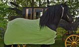 Fleece Decke
