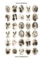 30 Imágenes  de perros sepia 30x40mm