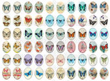60 Imágenes vintage de mariposas 18x25mm