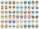 60 Imágenes vintage de mariposas 18x25mm