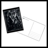 Postkarte Steinliebe