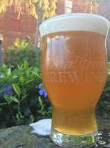 Captain Selin's Cream Ale