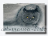 Katzenaugen