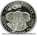 100 Shilling Elefant Somalia 2021