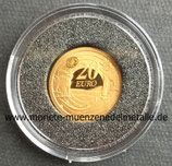 20 Euro  Ploughman Irland 2009 mit Zertifikat und Etui