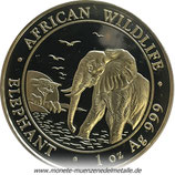 100 Shilling Elefant Somalia 2010