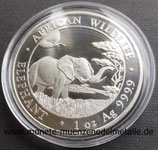 100 Shilling Elefant Somalia 2019
