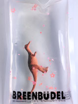 Breenbüdel 2.0 mit Dinosaurier
