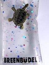 Breenbüdel 2.0 mit Schildkröte